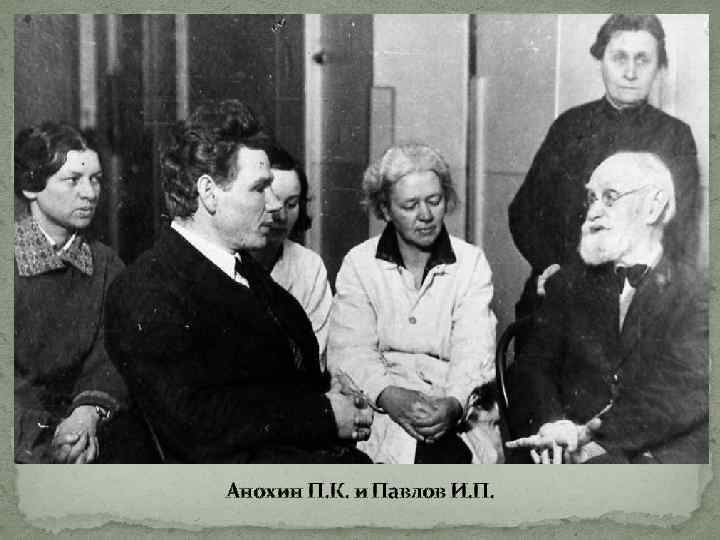 Анохин П. К. и Павлов И. П. 