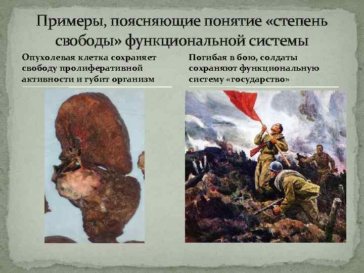 Примеры, поясняющие понятие «степень свободы» функциональной системы Опухолевая клетка сохраняет свободу пролиферативной активности и