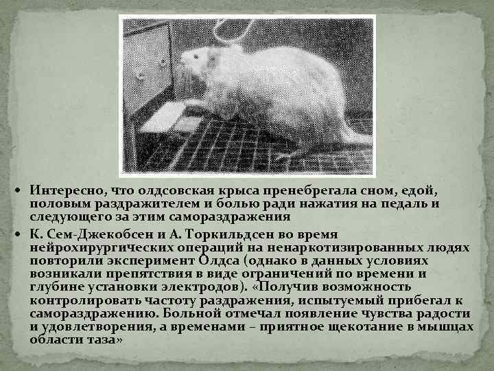  Интересно, что олдсовская крыса пренебрегала сном, едой, половым раздражителем и болью ради нажатия