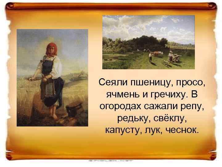 Сеяли пшеницу, просо, ячмень и гречиху. В огородах сажали репу, редьку, свёклу, капусту, лук,