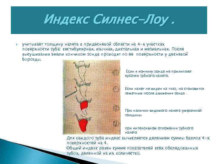 Индекс Силнес-Лоу. учитывает толщину налета в придесневой области на 4 -х участках поверхности зуба: