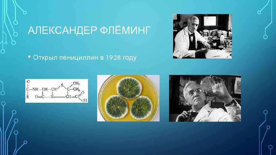 АЛЕКСАНДЕР ФЛЁМИНГ • Открыл пенициллин в 1928 году 