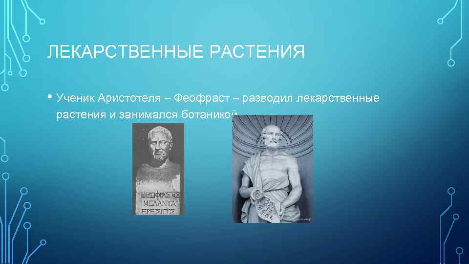 ЛЕКАРСТВЕННЫЕ РАСТЕНИЯ • Ученик Аристотеля – Феофраст – разводил лекарственные растения и занимался ботаникой