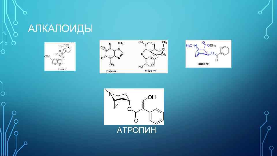 АЛКАЛОИДЫ АТРОПИН 