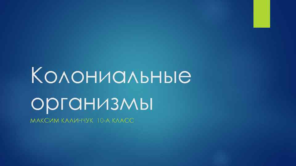 Колониальные организмы МАКСИМ КАЛИНЧУК 10 -А КЛАСС 