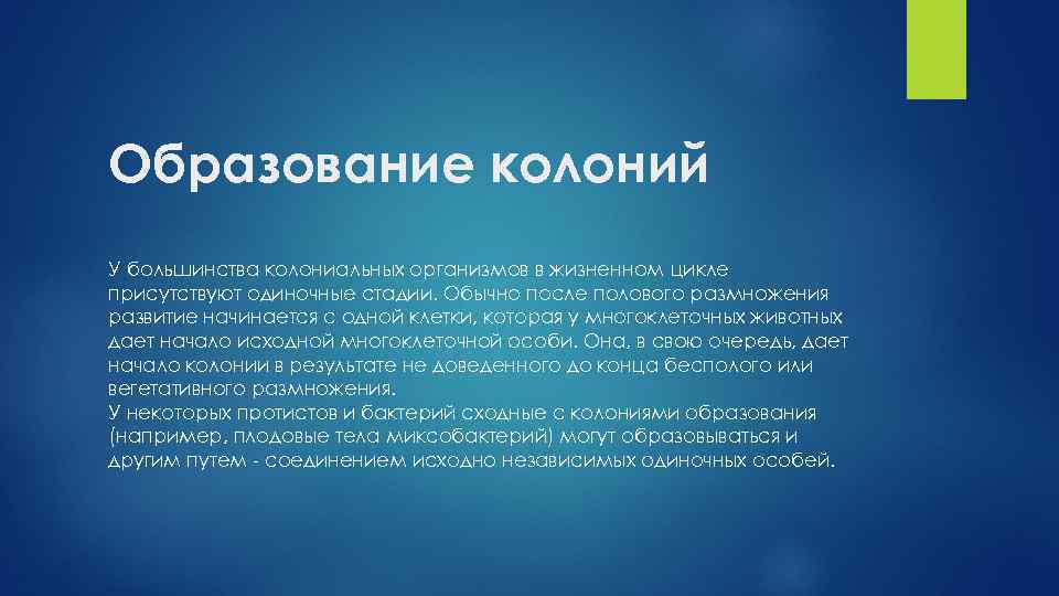 Образование колоний. Образование колонии в биологии. Причины образования колоний. Образуют колонии. Образование в колонии.