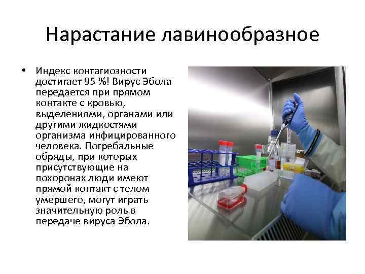 Нарастание лавинообразное • Индекс контагиозности достигает 95 %! Вирус Эбола передается при прямом контакте