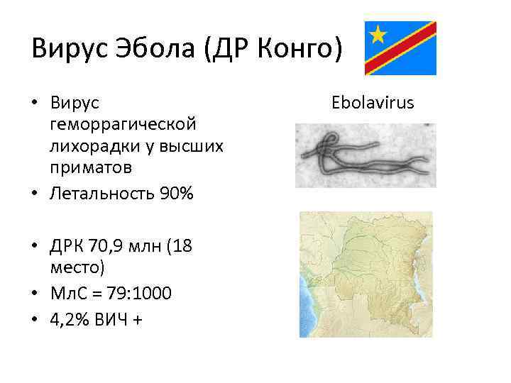 Вирус Эбола (ДР Конго) • Вирус геморрагической лихорадки у высших приматов • Летальность 90%