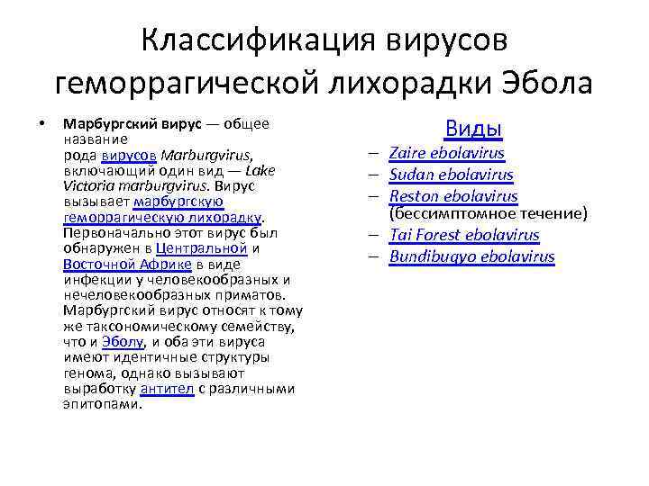 Классификация вирусов геморрагической лихорадки Эбола • Марбургский вирус — общее название рода вирусов Marburgvirus,