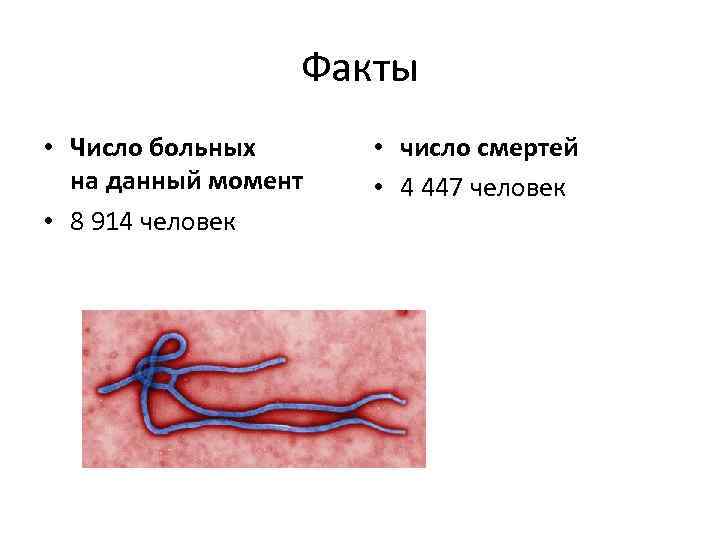 Факты • Число больных на данный момент • 8 914 человек • число смертей