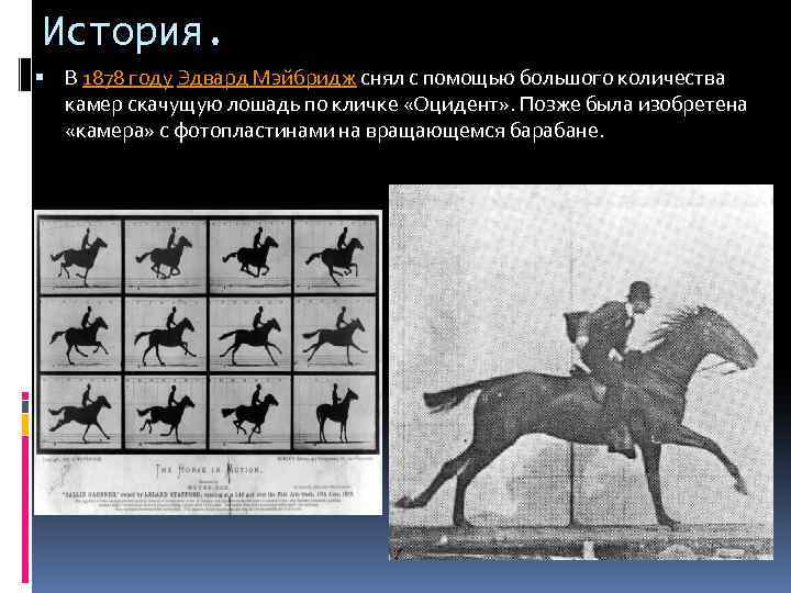 История. В 1878 году Эдвард Мэйбридж снял с помощью большого количества камер скачущую лошадь