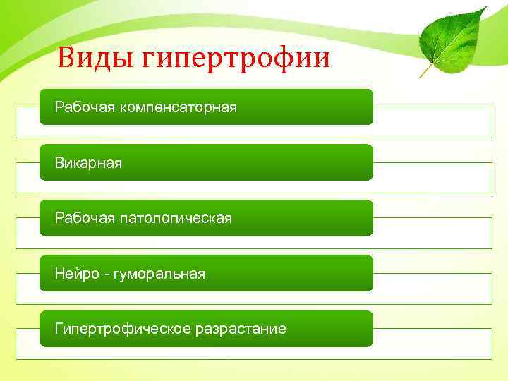 Виды гипертрофии Рабочая компенсаторная Викарная Рабочая патологическая Нейро - гуморальная Гипертрофическое разрастание 