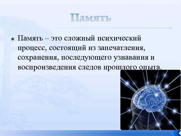 Память – это сложный психический процесс, состоящий из запечатления, сохранения, последующего узнавания и воспроизведения