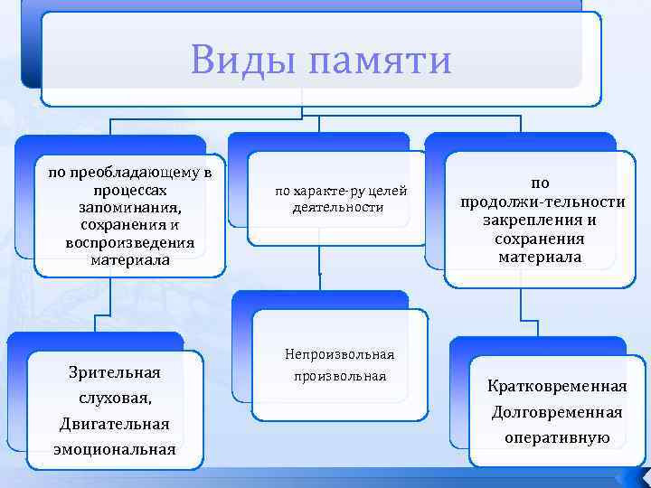 Вид памяти включающий процессы запоминания сохранения. Преобладающий вид памяти. Виды памяти Зрительная слуховая. Преобладающий вид памяти у дошкольников. Виды памяти по способу запоминания.