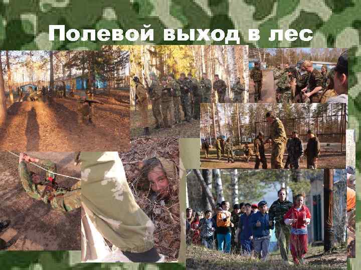 Полевой выход в лес 