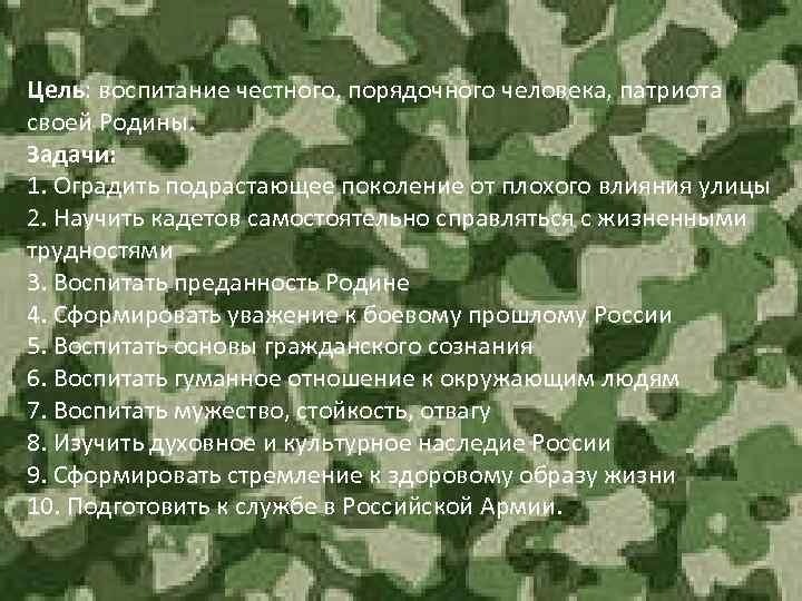 Цель: воспитание честного, порядочного человека, патриота своей Родины. Задачи: 1. Оградить подрастающее поколение от