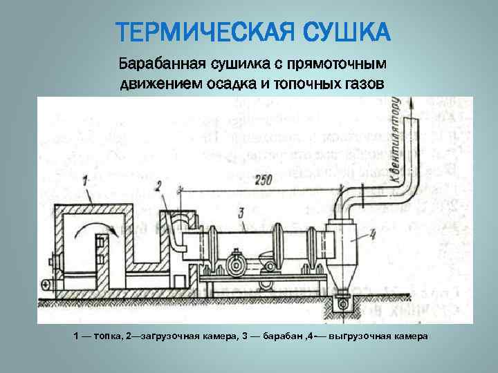 ТЕРМИЧЕСКАЯ СУШКА Барабанная сушилка с прямоточным движением осадка и топочных газов 1 — топка,