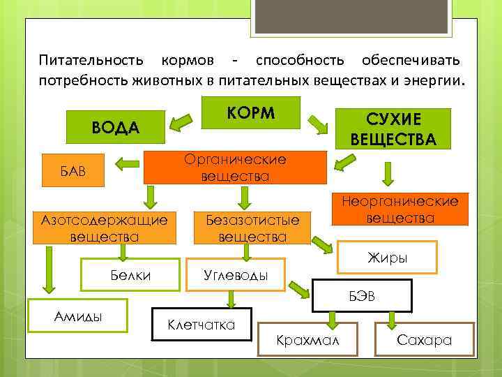 Питательность кормов - способность обеспечивать потребность животных в питательных веществах и энергии. КОРМ ВОДА