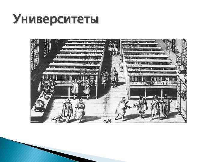 Университеты 