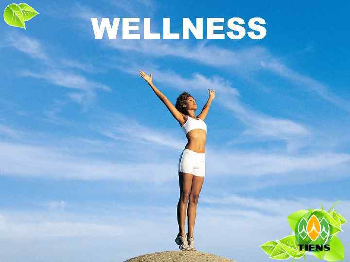 WELLNESS 