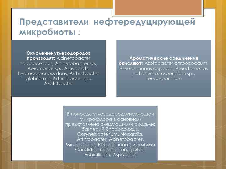 Представители нефтередуцирующей микробиоты : Окисление углеводородов производят: Acinetobacter calcoaceticus, Acinetobacter sp. , Aeromonas sp.