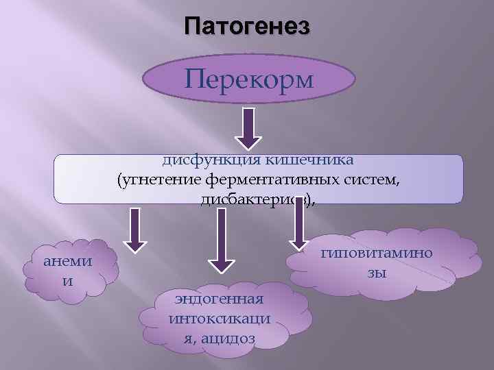 Патогенез Перекорм дисфункция кишечника (угнетение ферментативных систем, дисбактериоз), анеми и гиповитамино зы эндогенная интоксикаци