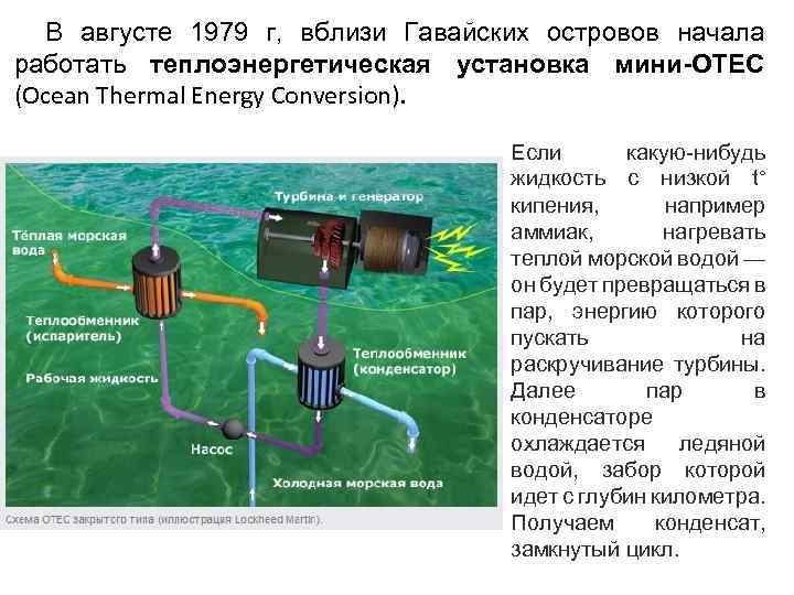 Руски отес