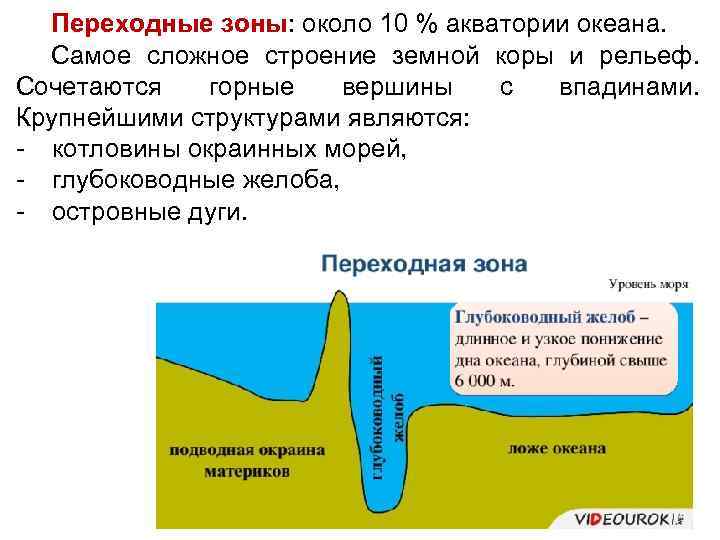 Переходные зоны: около 10 % акватории океана. Самое сложное строение земной коры и рельеф.