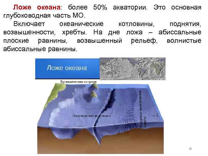 Ложе океана: более 50% акватории. Это основная глубоководная часть МО. Включает океанические котловины, поднятия,