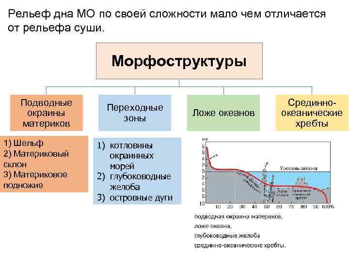 Рельеф дна МО по своей сложности мало чем отличается от рельефа суши. Морфоструктуры Подводные