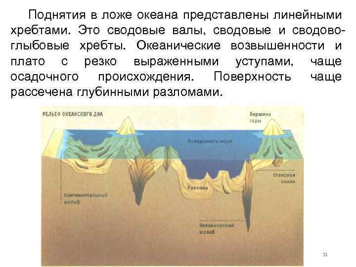 Поднятия в ложе океана представлены линейными хребтами. Это сводовые валы, сводовые и сводовоглыбовые хребты.