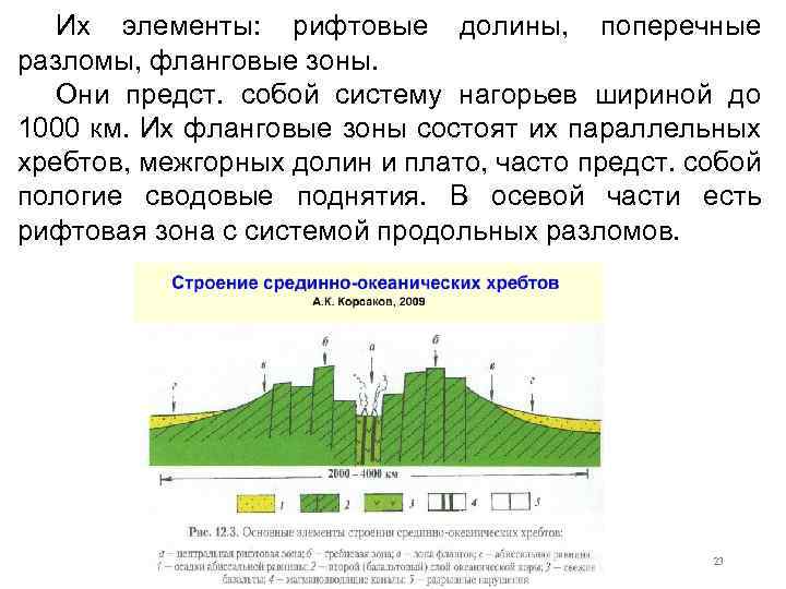 Их элементы: рифтовые долины, поперечные разломы, фланговые зоны. Они предст. собой систему нагорьев шириной