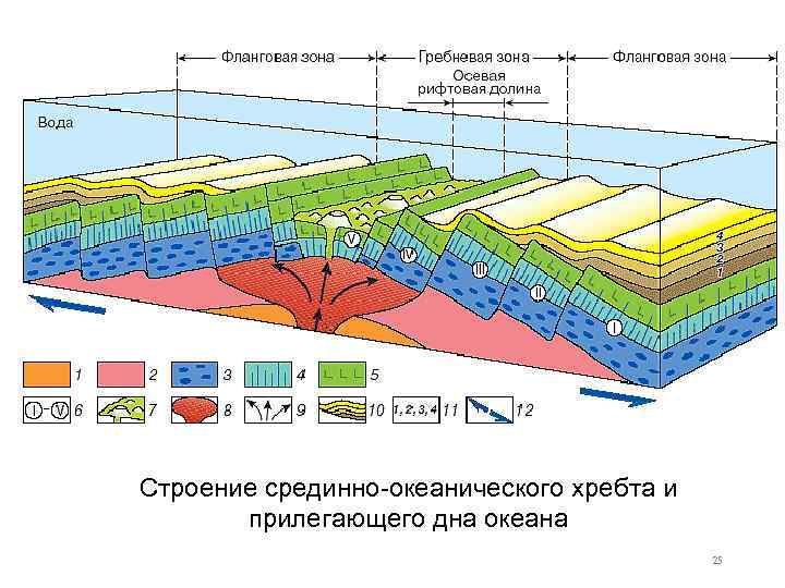 Строение срединно-океанического хребта и прилегающего дна океана 25 