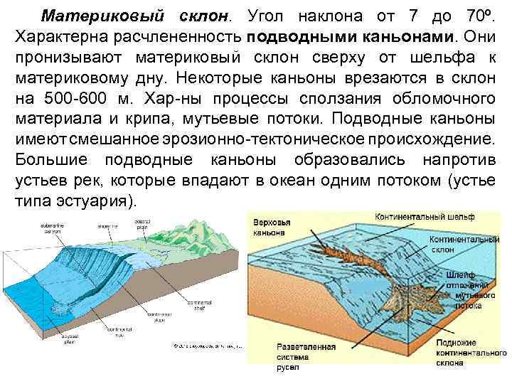 Материковый склон. Угол наклона от 7 до 70º. Характерна расчлененность подводными каньонами. Они пронизывают