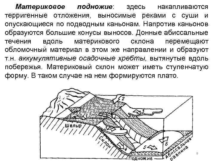 Материковое подножие: здесь накапливаются терригенные отложения, выносимые реками с суши и опускающиеся по подводным