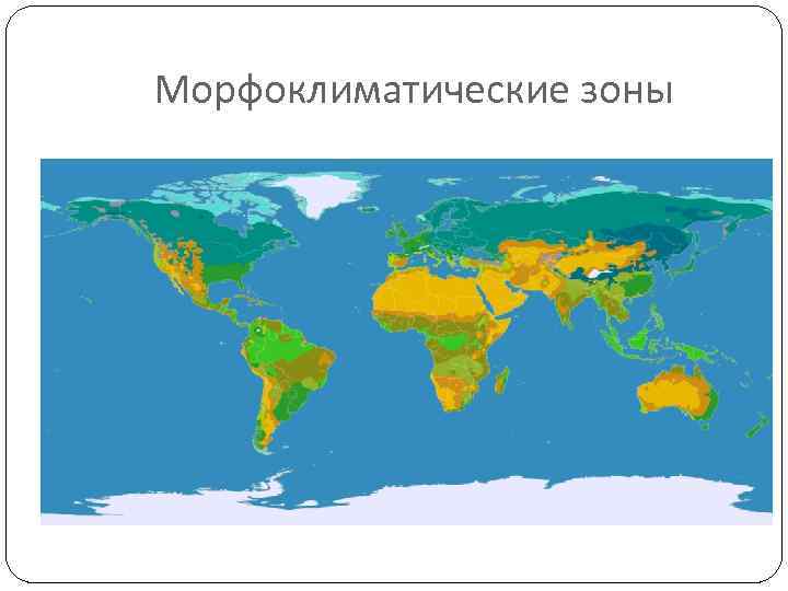 Морфоклиматические зоны 