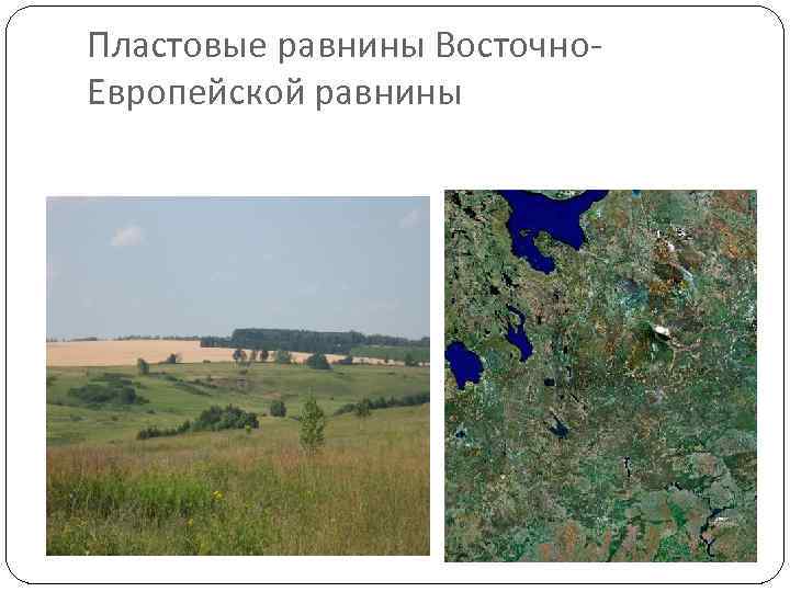 Пластовые равнины Восточно. Европейской равнины 