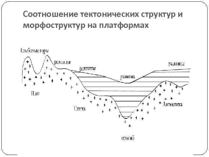 Соотношение тектонических структур и морфоструктур на платформах 