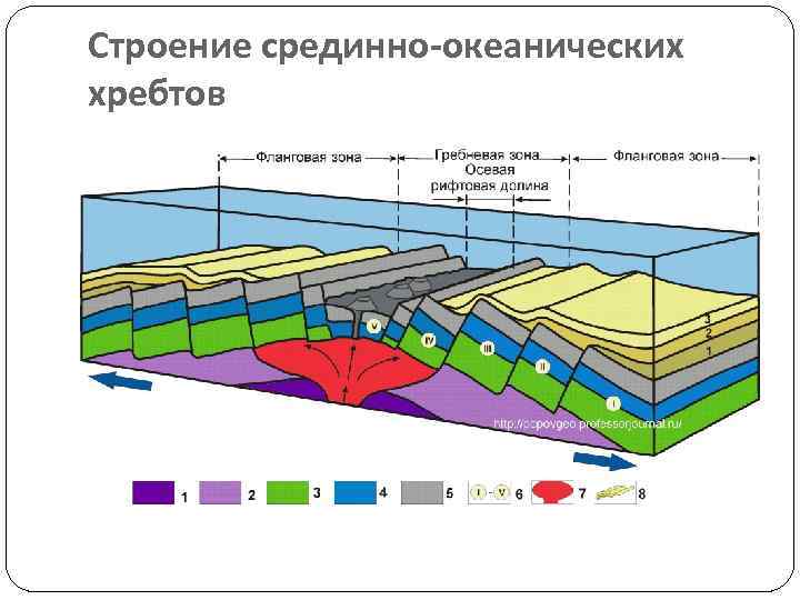 Строение срединно-океанических хребтов 