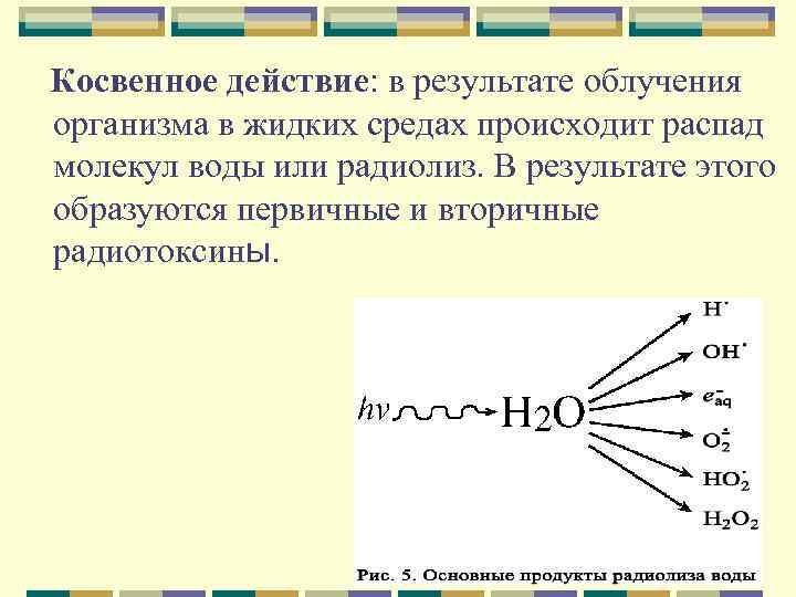 Косвенное действие: в результате облучения организма в жидких средах происходит распад молекул воды или