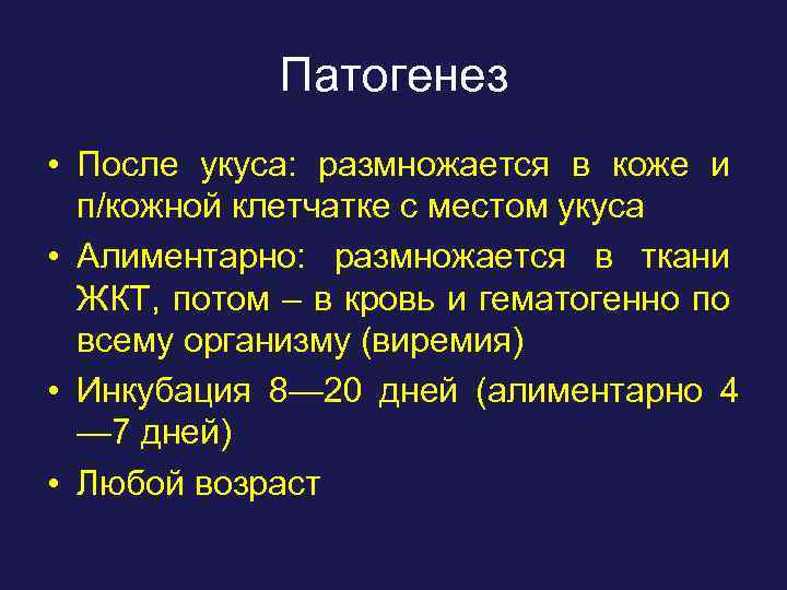 Патогенез • После укуса: размножается в коже и п/кожной клетчатке с местом укуса •