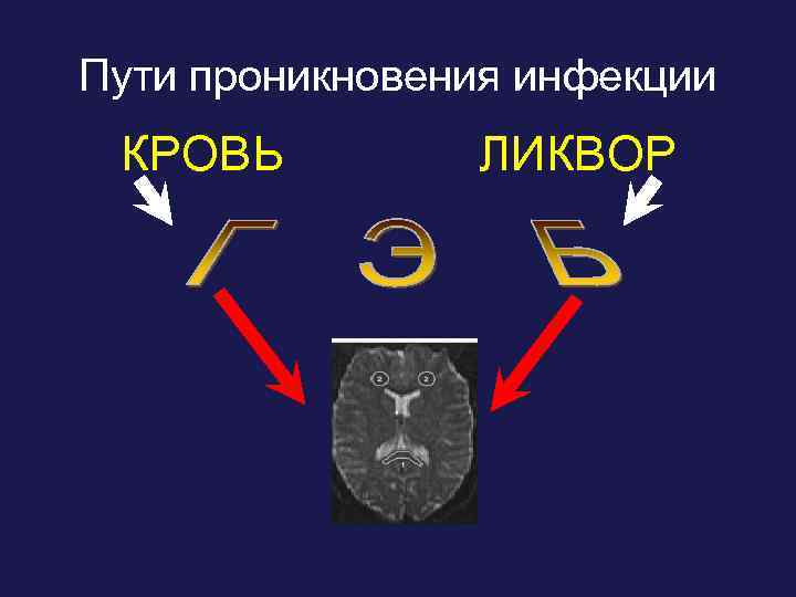 Пути проникновения инфекции КРОВЬ ЛИКВОР 