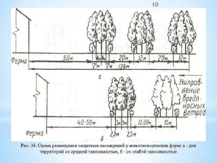 10 Рис. 39. Схема размещения защитных насаждений у животноводческих ферм: а для территорий со