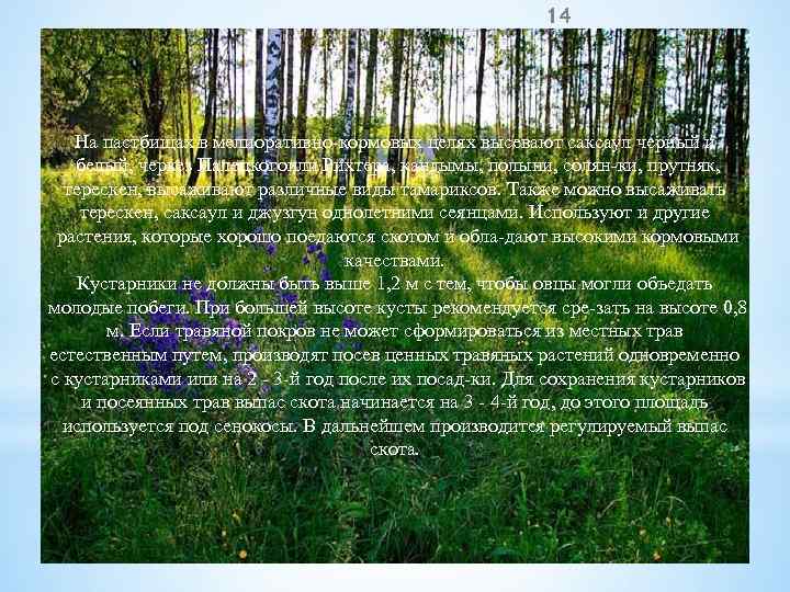 14 На пастбищах в мелиоративно кормовых целях высевают саксаул черный и белый, черкез Палецкогоили