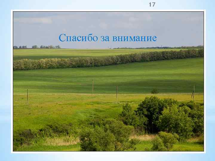 17 Спасибо за внимание 
