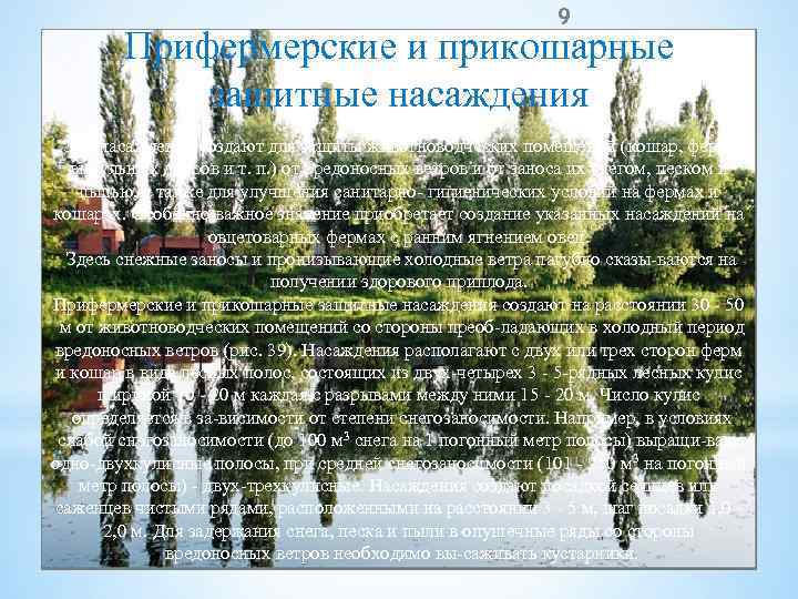 9 Прифермерские и прикошарные защитные насаждения Эти насаждения создают для защиты животноводческих помещений (кошар,