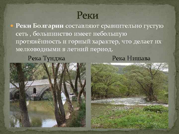  Реки Болгарии составляют сравнительно густую сеть , большинство имеет небольшую протяжённость и горный