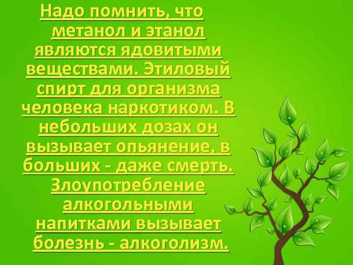 Надо помнить, что метанол и этанол являются ядовитыми веществами. Этиловый спирт для организма человека