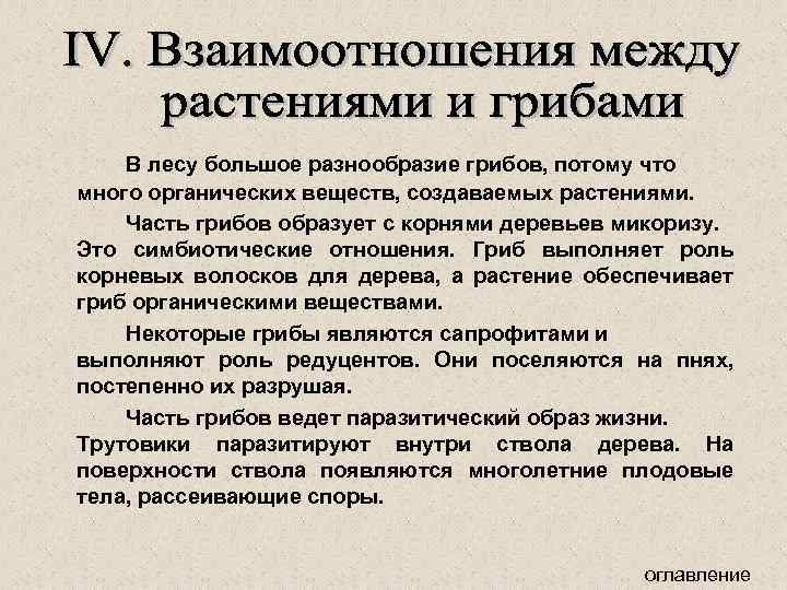 В лесу большое разнообразие грибов, потому что много органических веществ, создаваемых растениями. Часть грибов