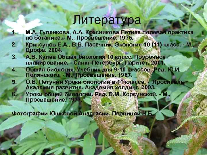 Литература 1. 2. 3. 4. 5. 6. М. А. Гуленкова, А. А. Красникова Летняя